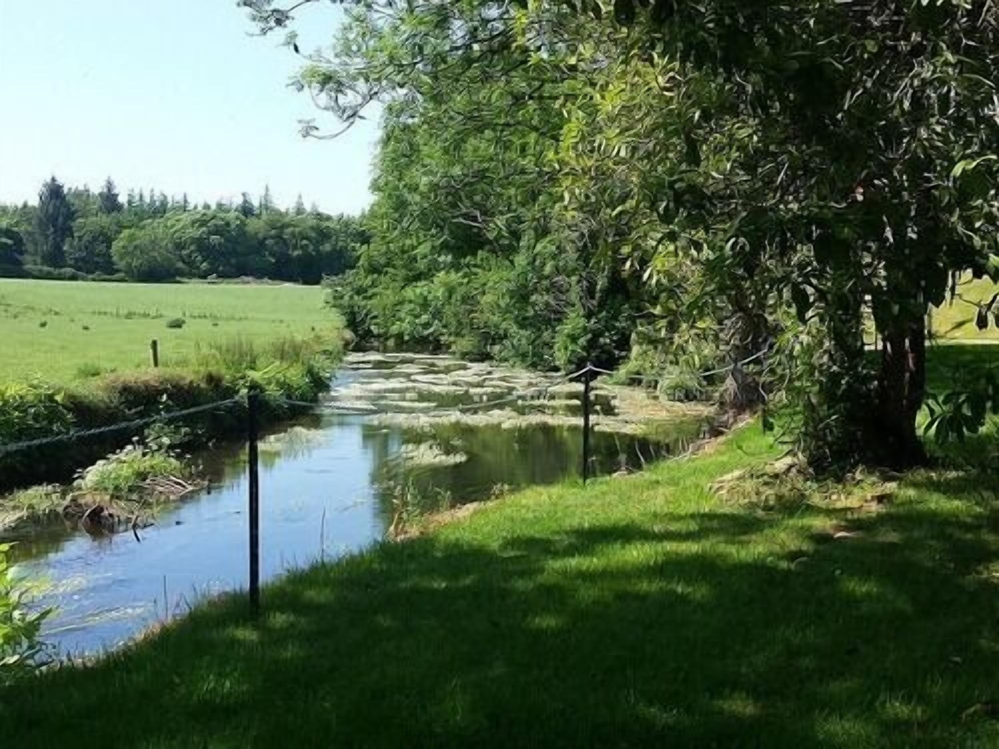 A river flowing through a grassy area with trees on one side.
