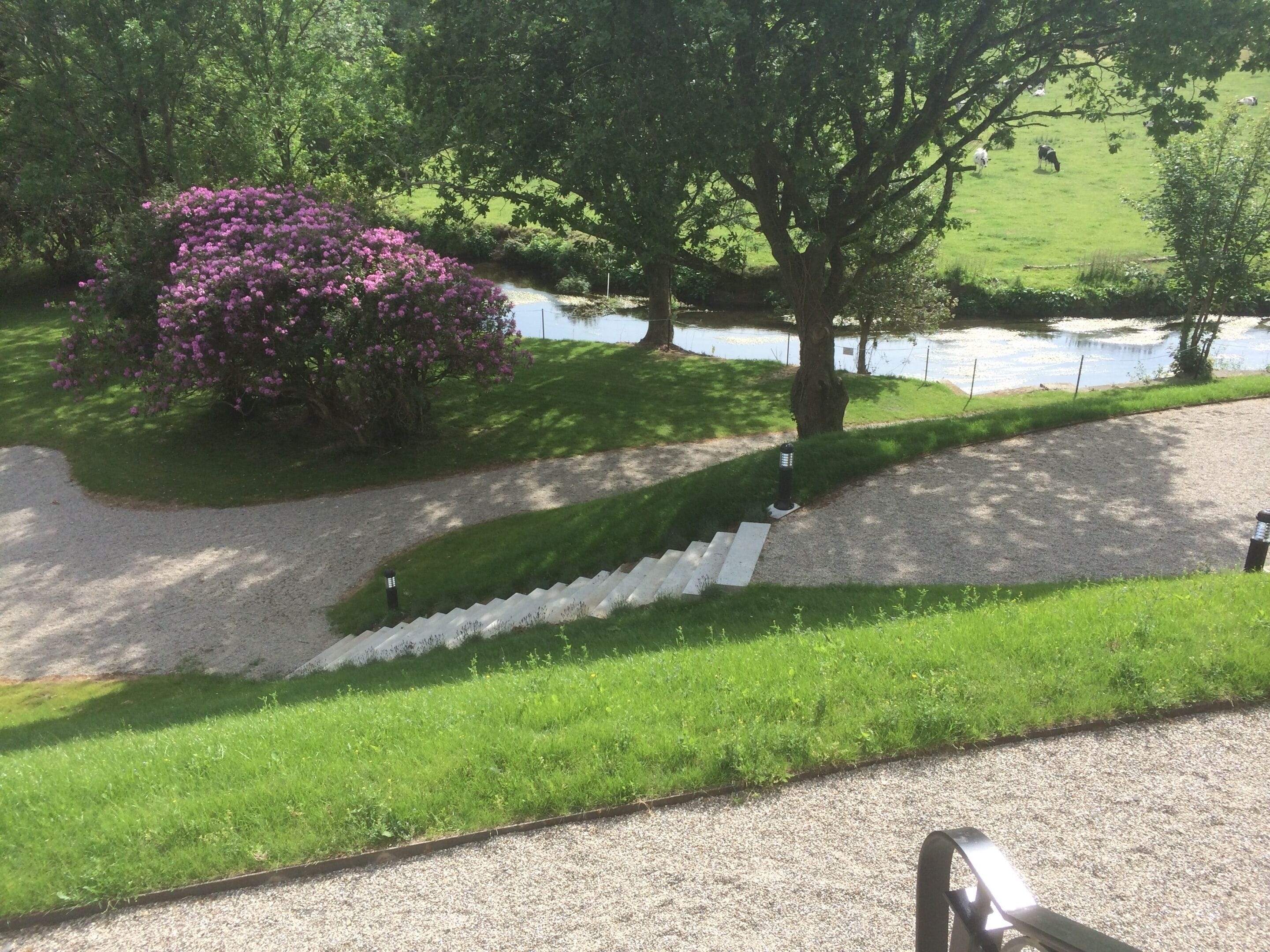 A park with a paved path, a grassy area, and a pond.