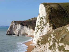 Beach - University of Exeter Holland Hall (Exeter)