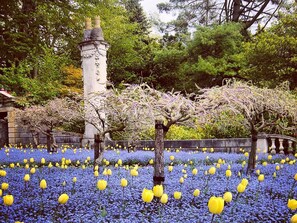 Exterior - University of Exeter Holland Hall (Exeter)