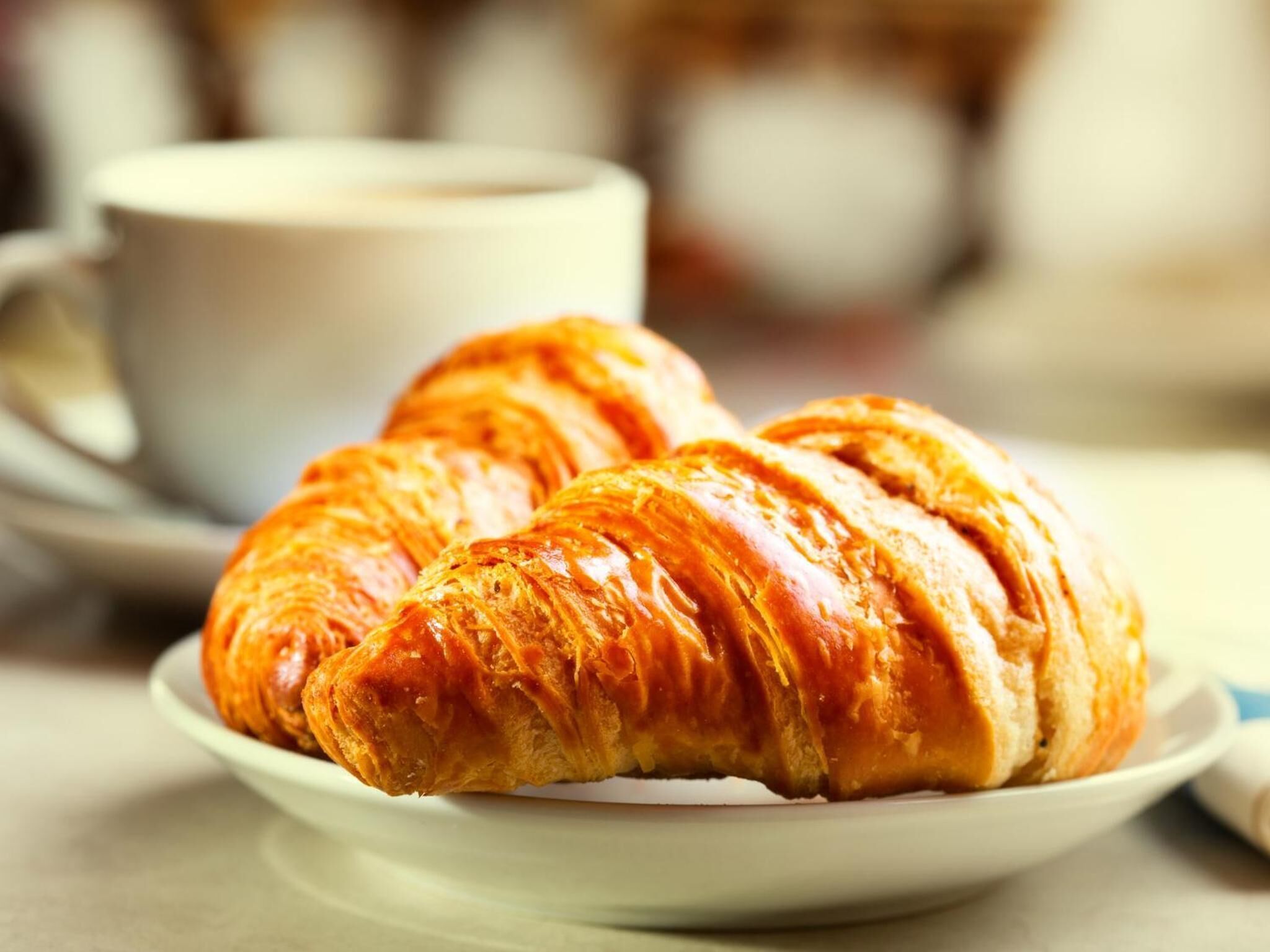 Two croissants on a plate with a cup in the background.