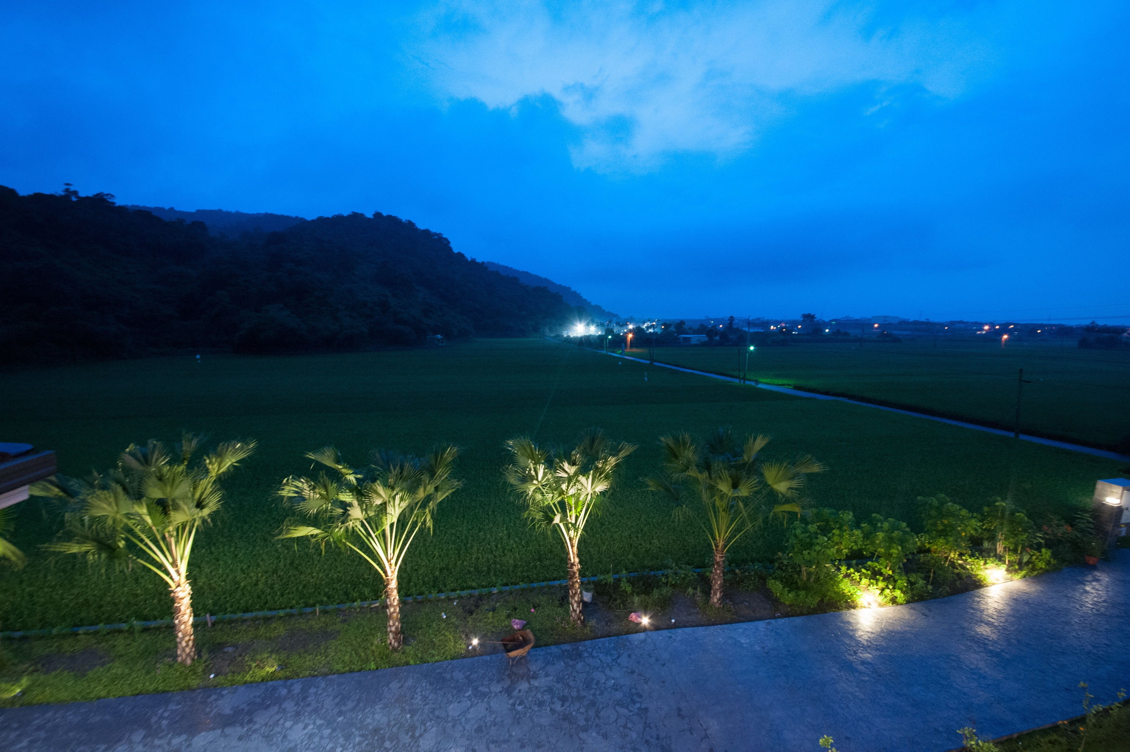 A nighttime view of a well-lit pathway with palm trees and a distant cityscape.
