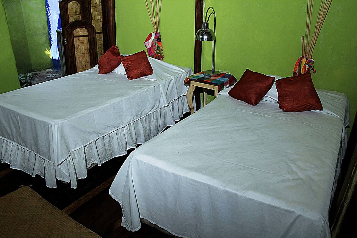 Two single beds with white linens and brown pillows, a small table with a lamp, and a wooden door in a room with green walls.