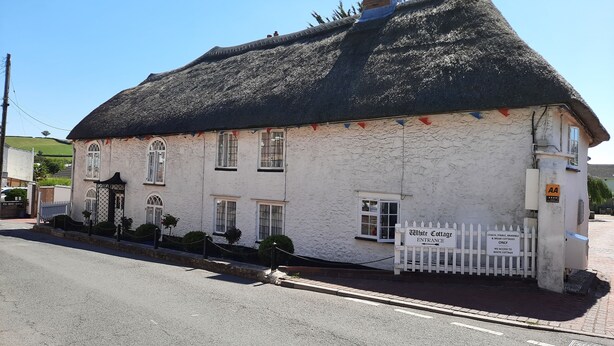 A white building with a thatched roof, a white picket fence, and a sign indicating it is White Cottage. - The White Cottage B&B (Colyton)