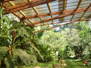 Serveert ontbijt, lunch, diner, internationale gerechten