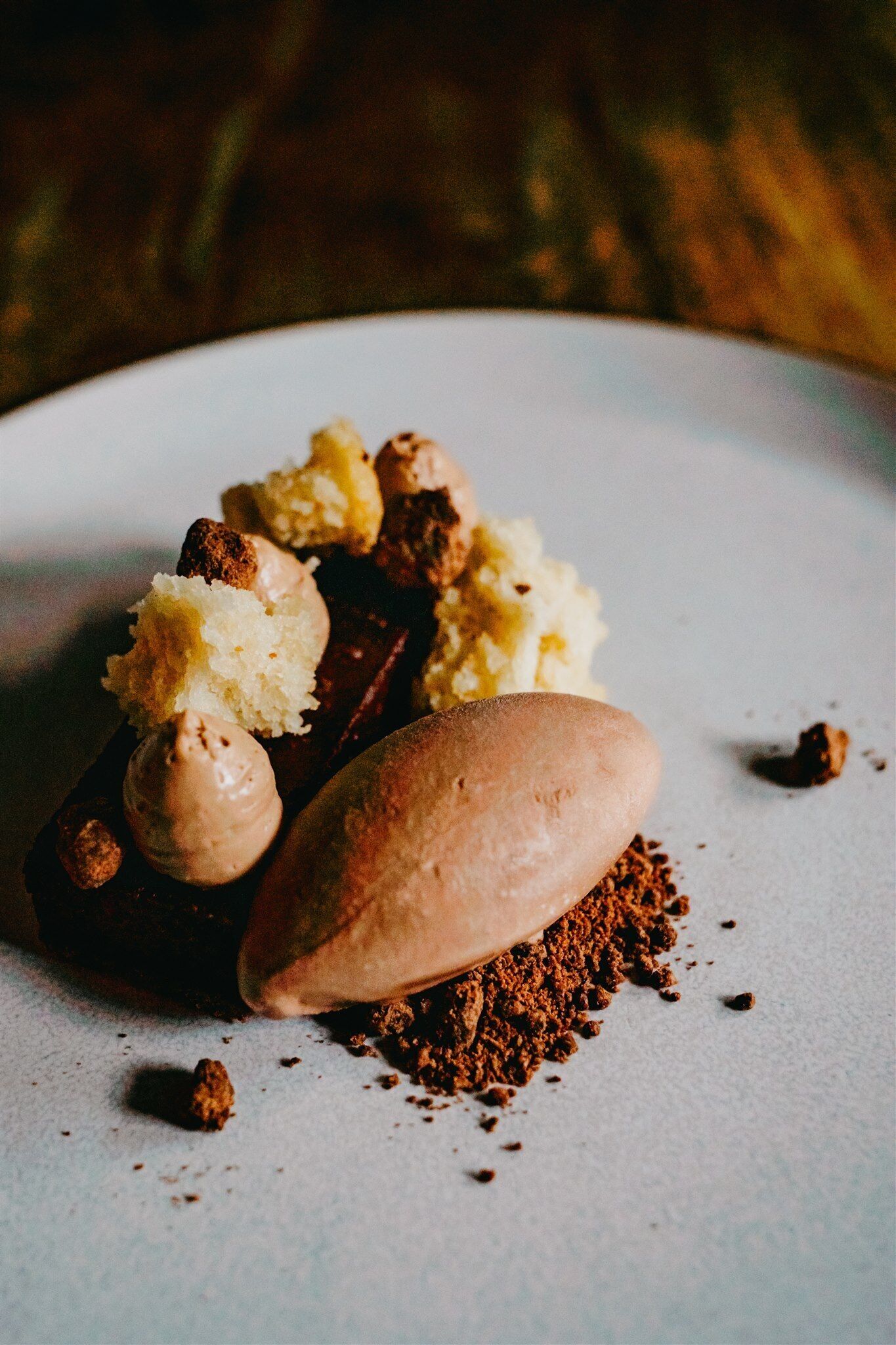 A dessert with a scoop of ice cream and chocolate pieces on a plate.