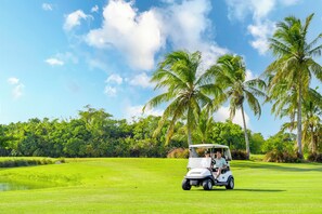 A golf cart on a lush green course with palm trees and a clear sky.