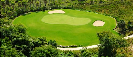 Un parcours de golf doté d’un gazon bien entretenu, de bunkers de sable et d’une végétation luxuriante environnante.