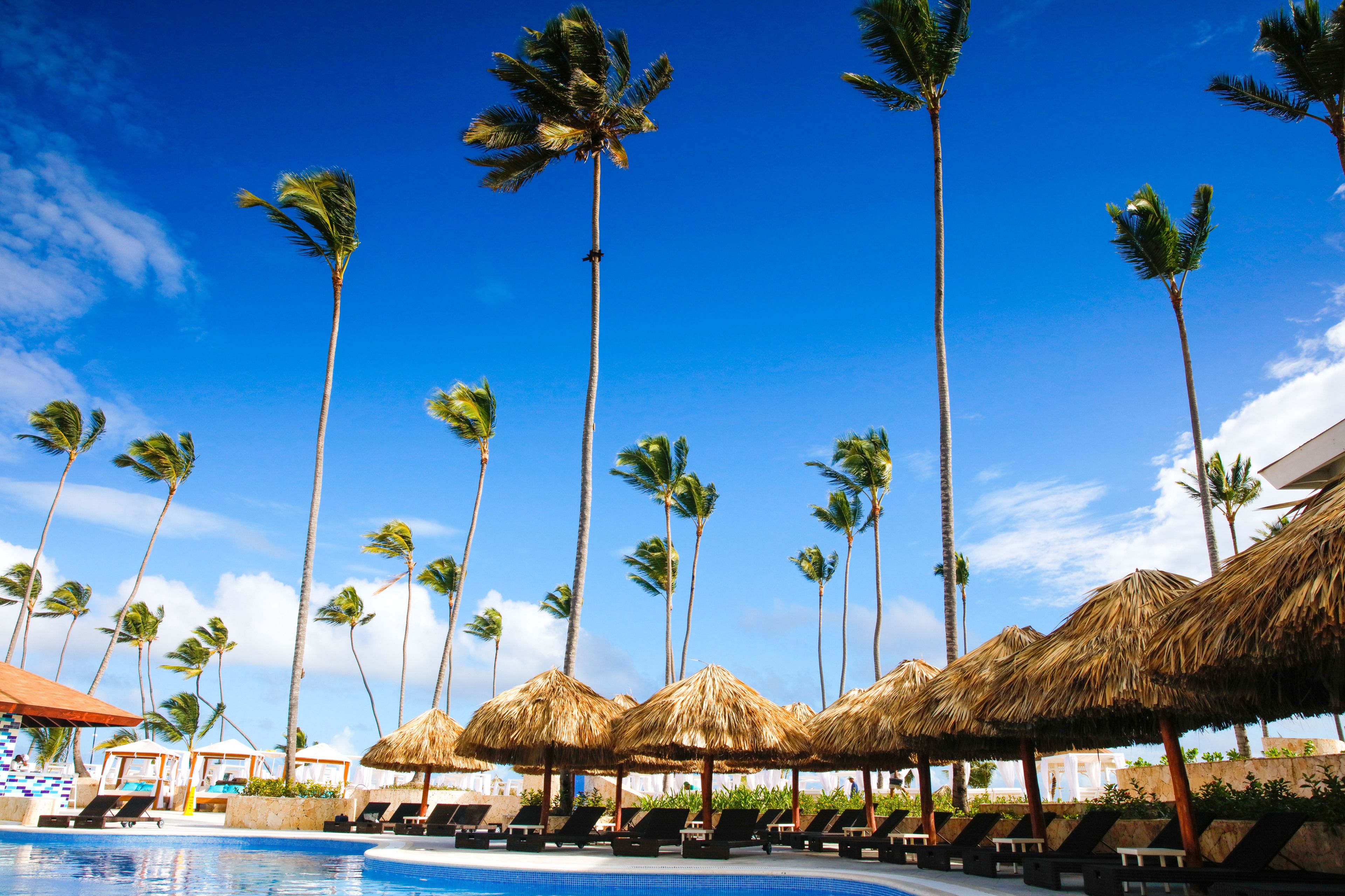 A pool area with lounge chairs and thatched umbrellas, surrounded by tall palm trees.