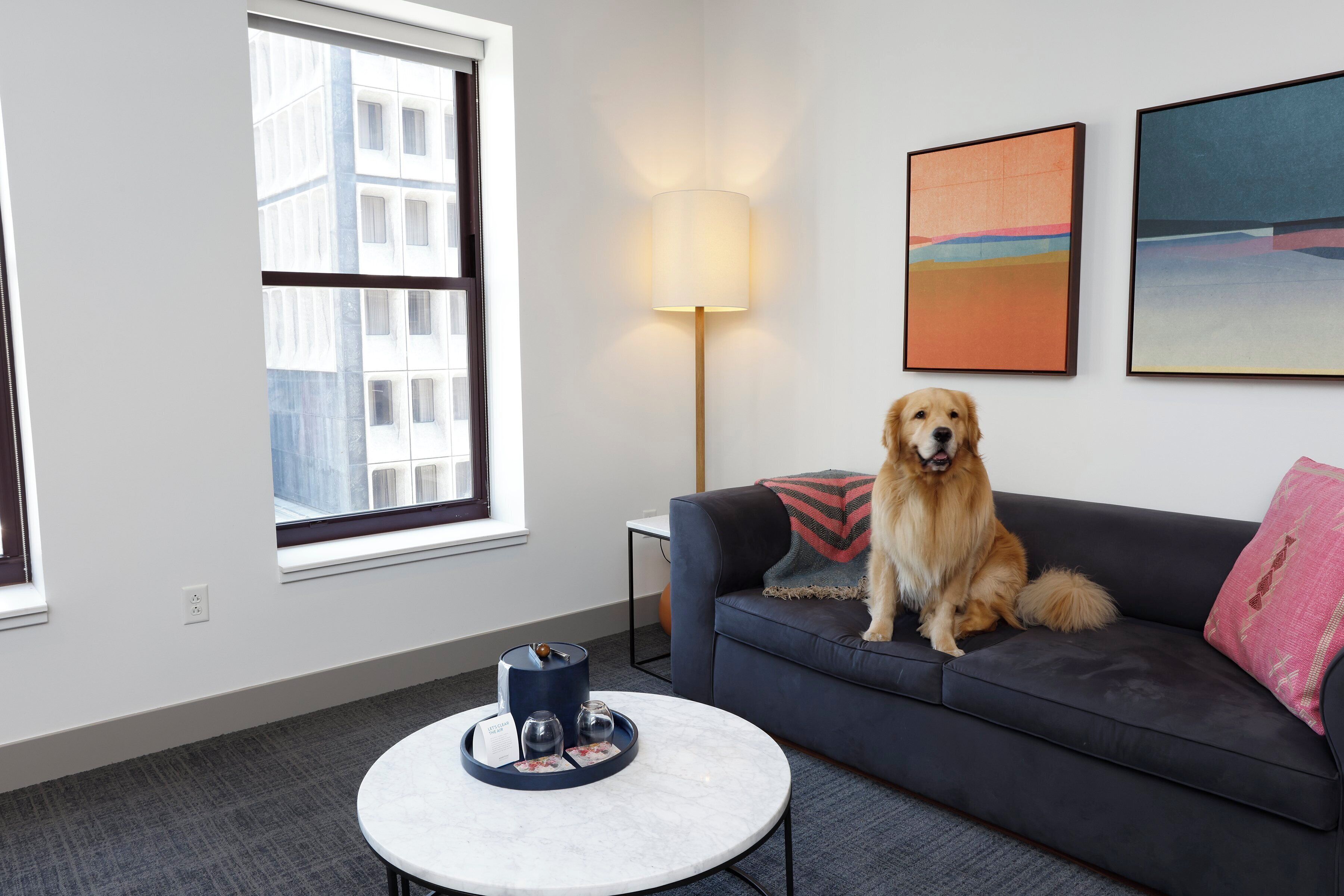 Un salon avec un canapé gris, une table basse ronde, une lampe et un chien.