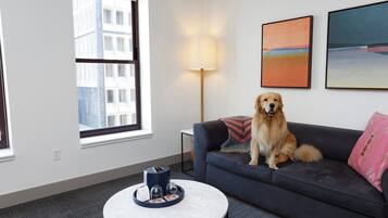 Un salon avec un canapé gris, une table basse ronde, une lampe et un chien.