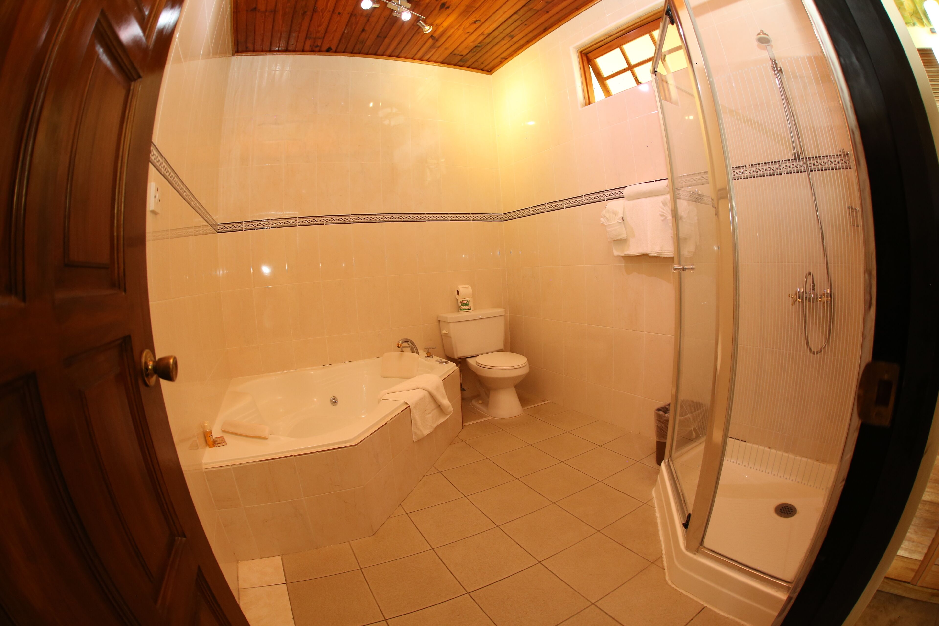 deluxe double room | bathroom | shower, free toiletries, hair dryer, towels