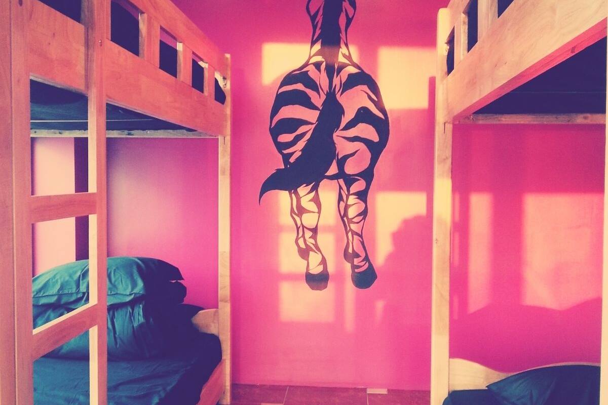 Une chambre avec des lits superposés, une silhouette de zèbre sur le mur et un sol carrelé.