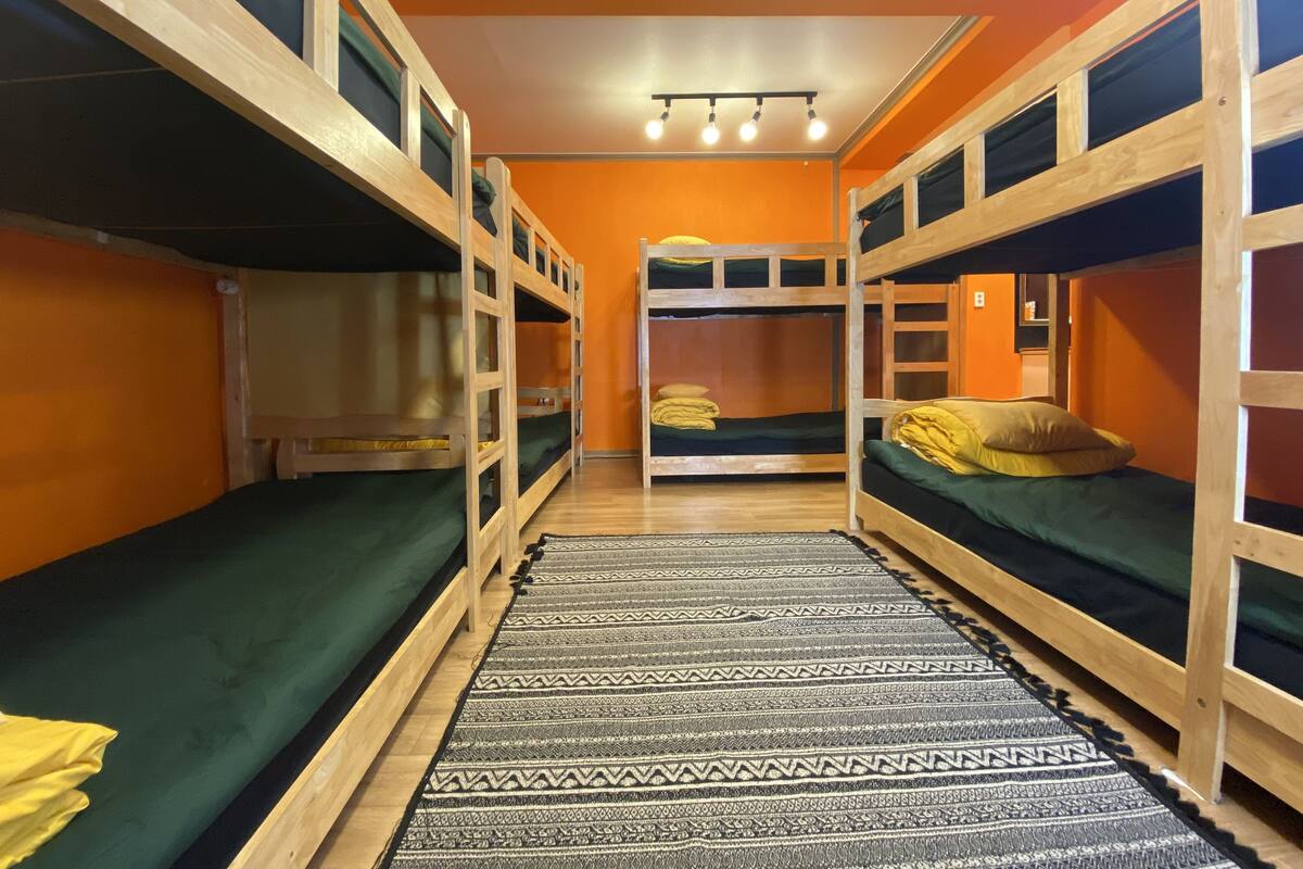 Basic Shared Dormitory, Women only | Wi-fi percuma, dihias secara berasingan 