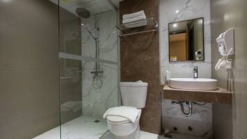 A modern bathroom with a glass-enclosed shower, a toilet, a sink, and a mirror.