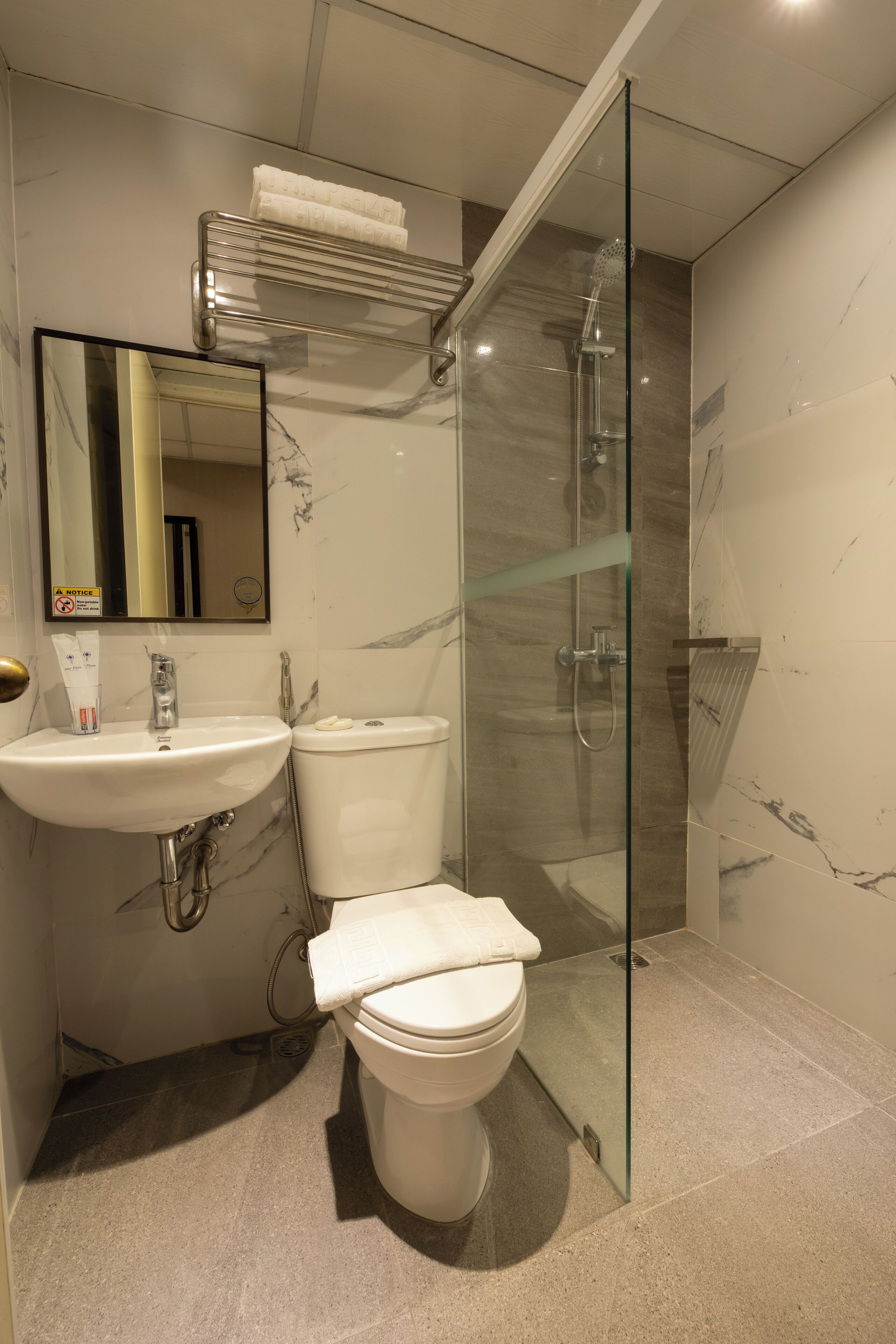A modern bathroom with a glass-enclosed shower, a white sink, and a toilet.