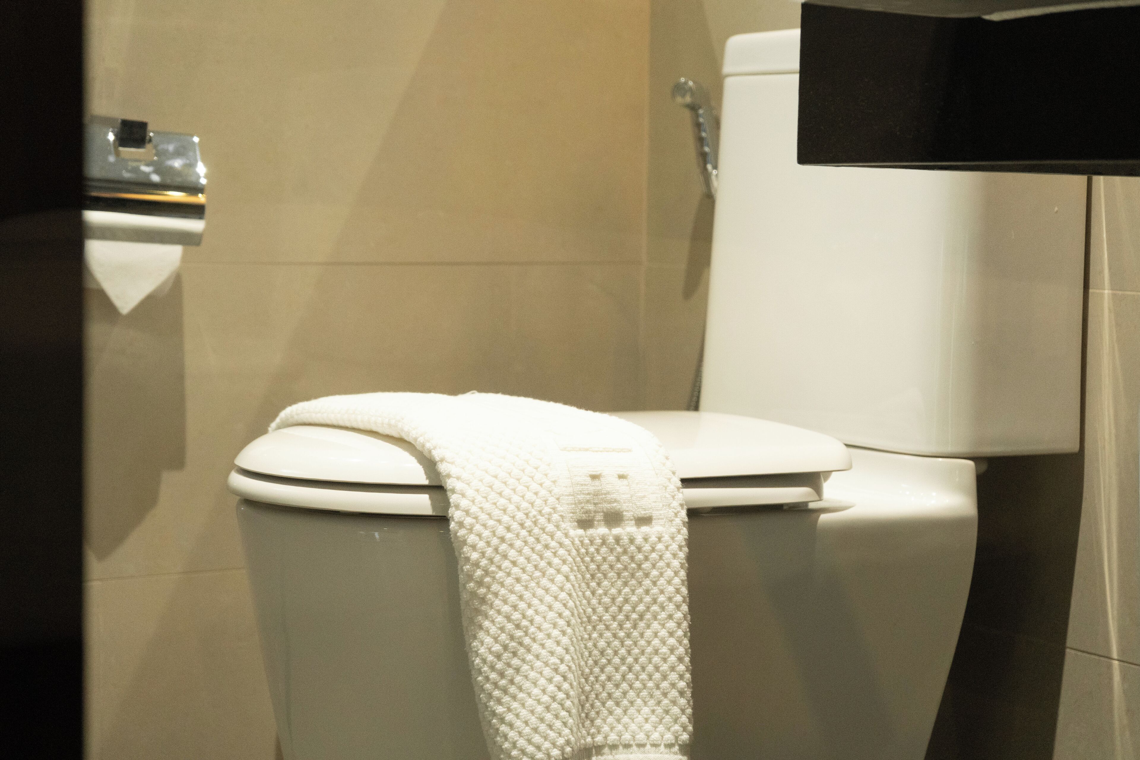 deluxe room | bathroom | shower, free toiletries, hair dryer, bidet