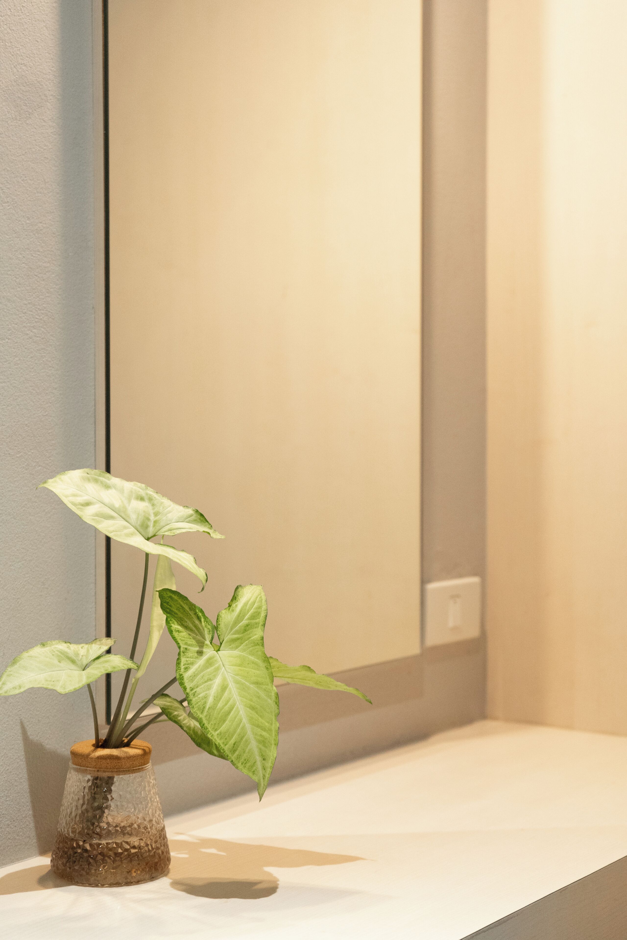 standard twin room | 1 bedroom, in-room safe, desk, free wifi