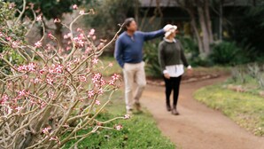 Garden - Simbavati Camp George (Bushbuckridge)