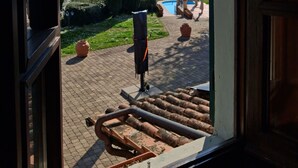 Vista dalla finestra su una zona piscina con terrazza pavimentata, due alberi alti e cielo sereno.