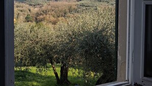 Paesaggio rurale visto da una finestra, con ulivi e una collina lontana con edifici.