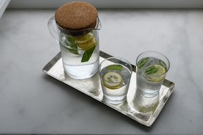 A glass pitcher and two glasses with lemon slices and mint leaves on a silver tray. - Hydras Chromata (Hydra)