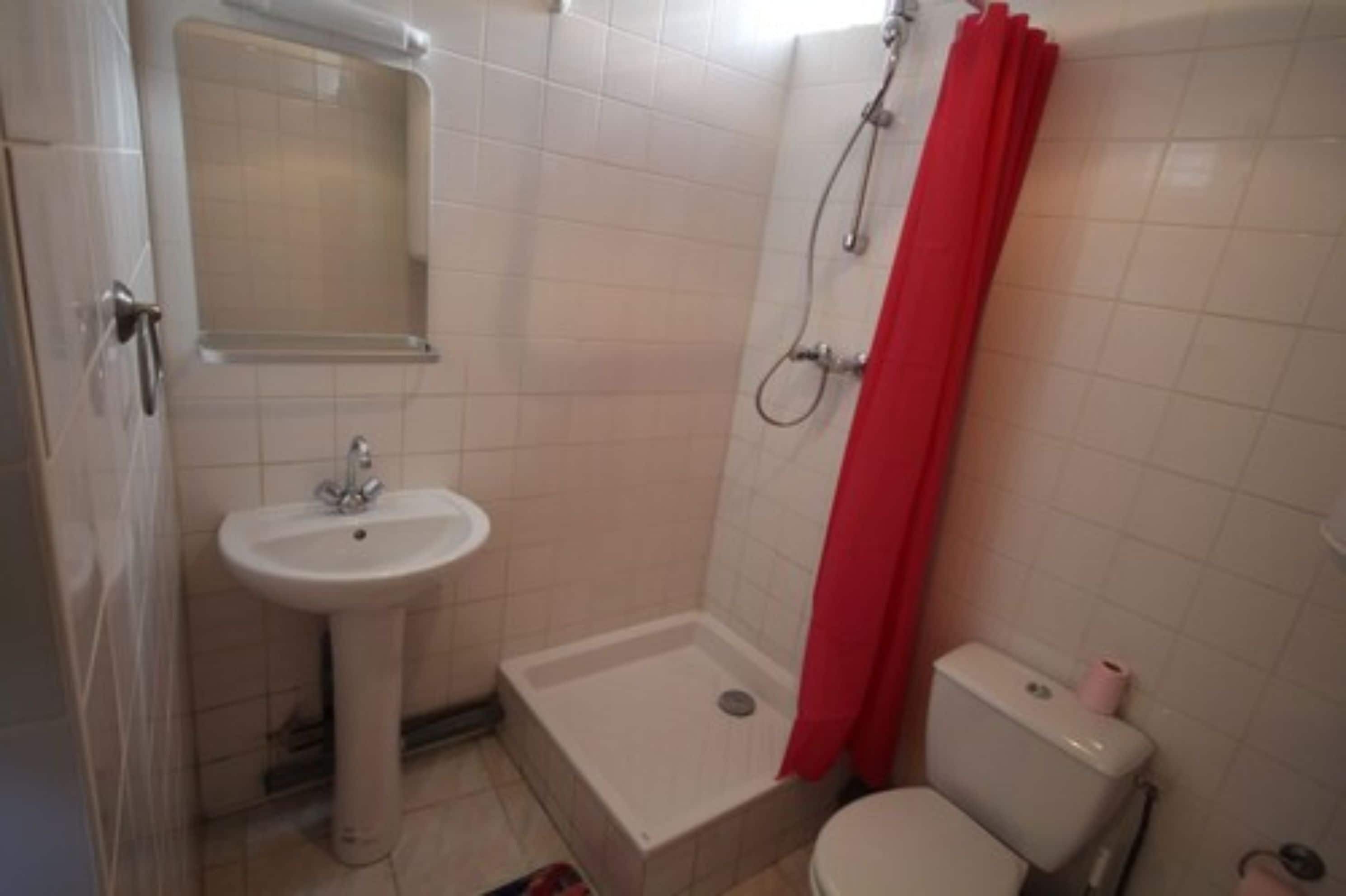 Ein Badezimmer mit einem Standwaschbecken, einer Dusche mit rotem Vorhang und einer Toilette.