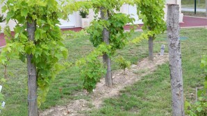 Garden - Natur'Hôtel (Menesplet)