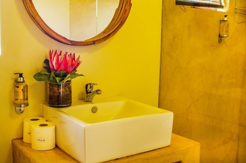A bathroom with a white sink, a round mirror, a potted plant, and two rolls of toilet paper.