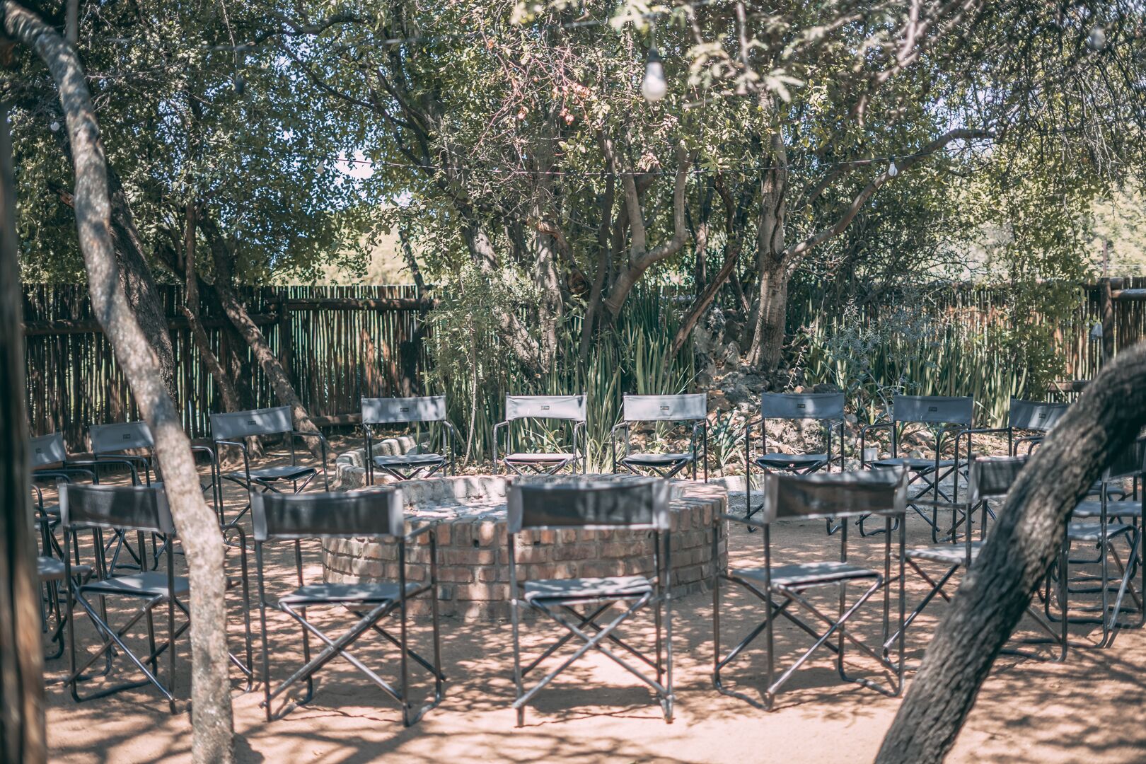 An outdoor seating area with metal chairs and tables arranged in rows, surrounded by trees and a bamboo fence.