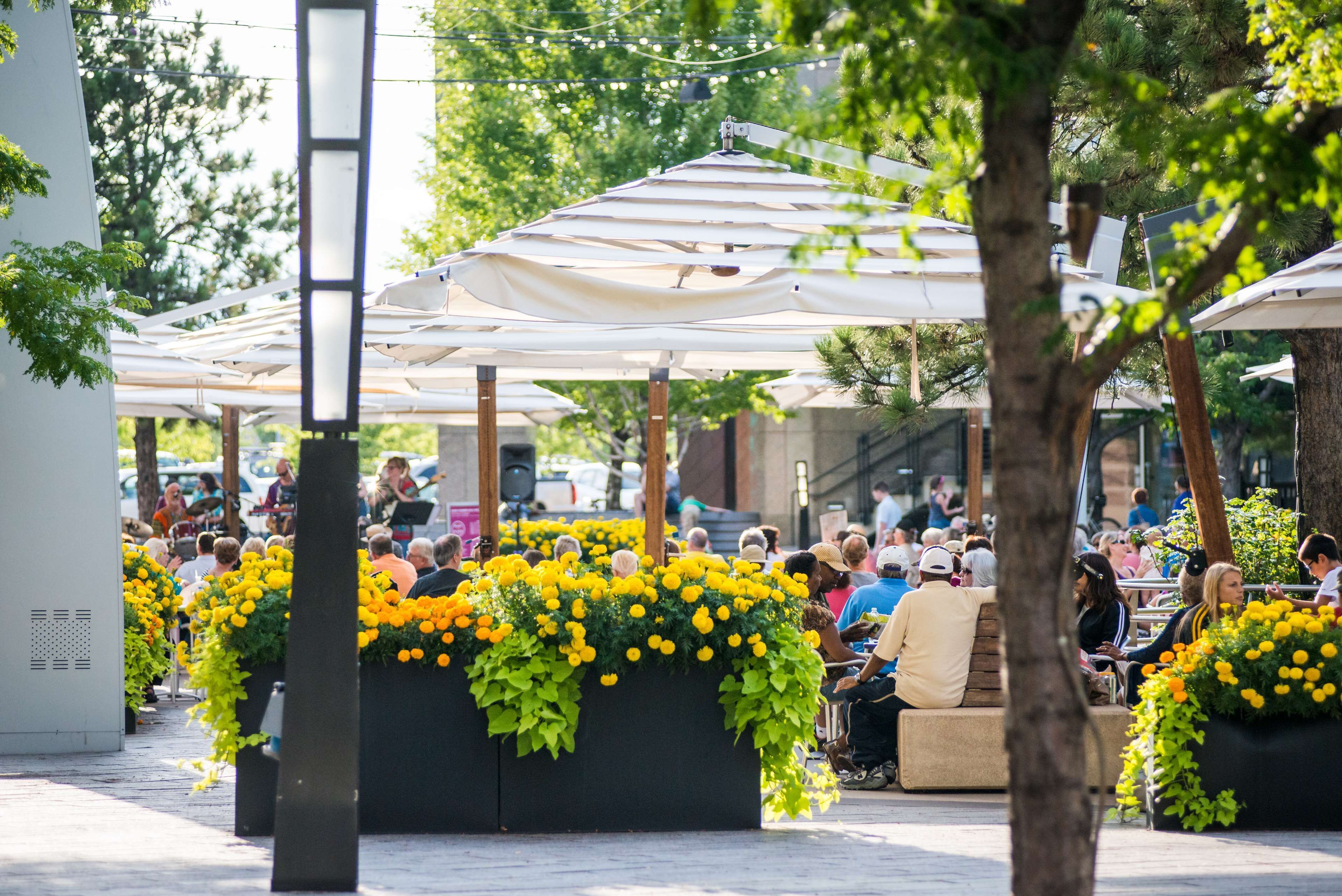 Un espace extérieur aménagé avec des tables et des chaises, entouré de jardinières remplies de fleurs jaunes et protégé par des parasols.
