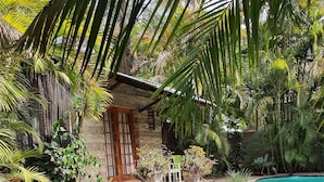 A courtyard with a pool, surrounded by lush greenery and a stone building with a wooden door. - A Traveller's Palm (Phalaborwa)