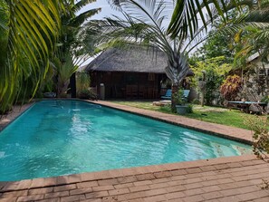 Outdoor pool, sun loungers - A Traveller's Palm (Phalaborwa)