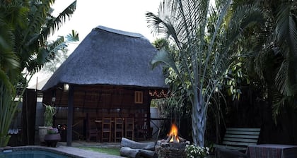 A Traveller's Palm