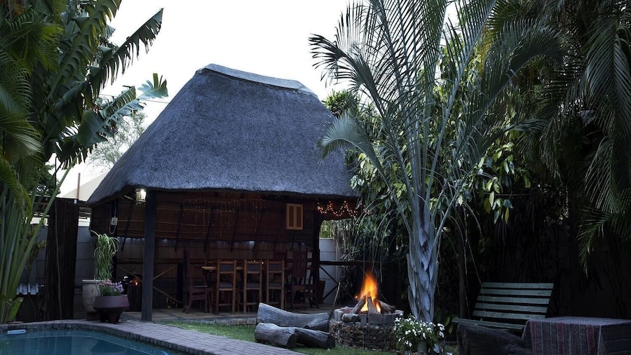 A Traveller's Palm