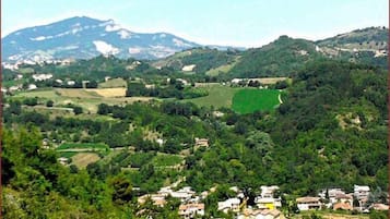 Vista dalla struttura