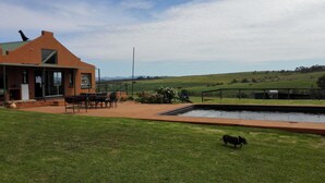 A house with a patio, a swimming pool, and a grassy yard. - Pumula Guest Farm (Fouriesburg)