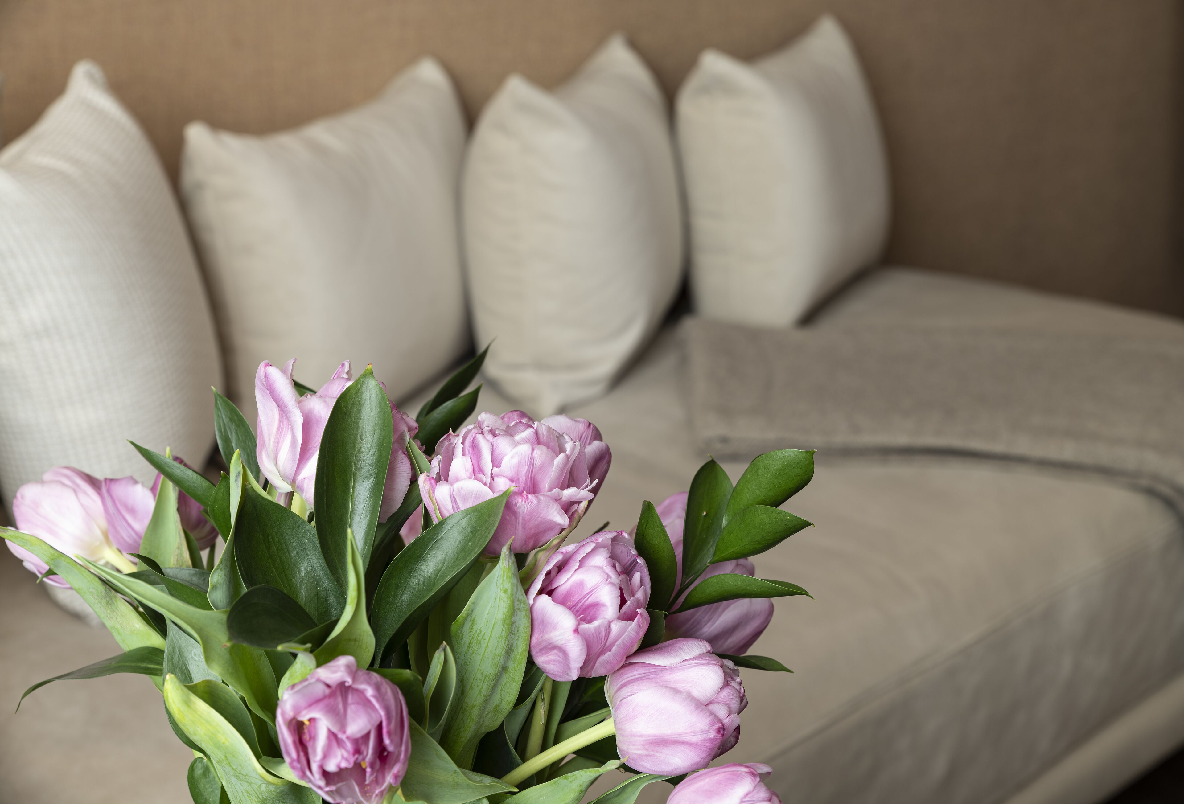 Een boeket roze tulpen voor een beige bank met meerdere kussens.