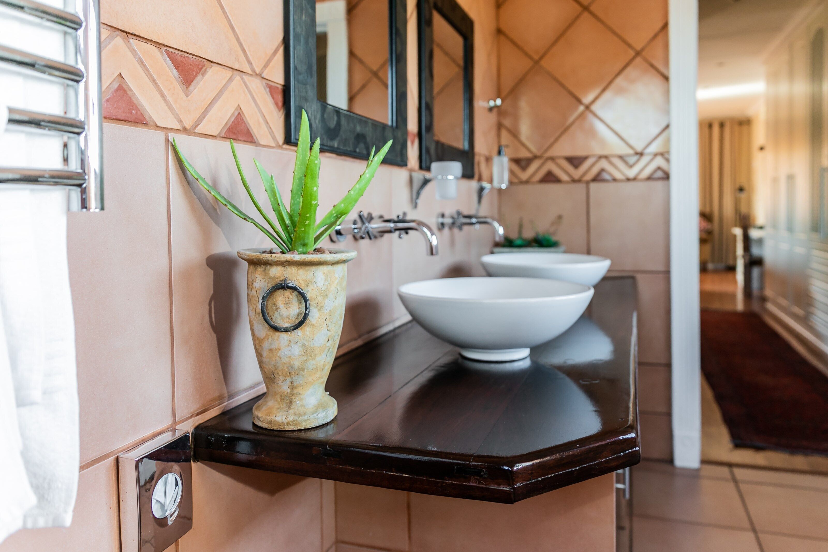 A bathroom with a large mirror, two sinks, and a potted aloe vera plant on a dark countertop.