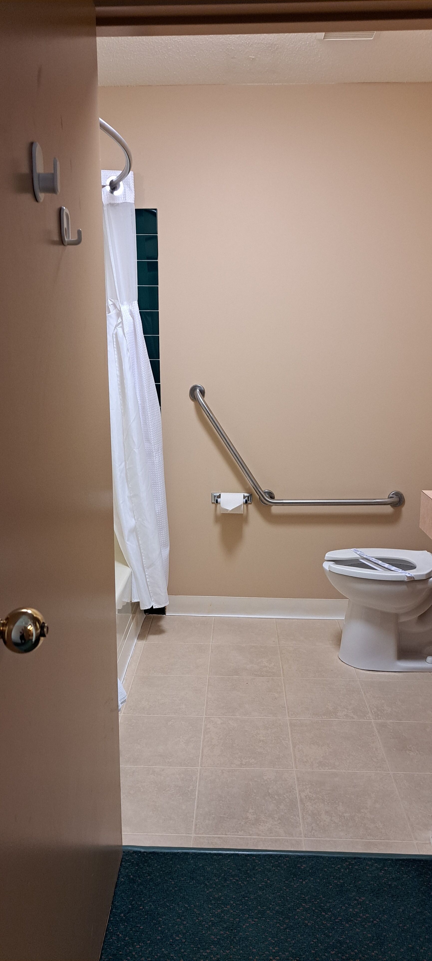 A bathroom with a toilet, a handrail, and a shower curtain.