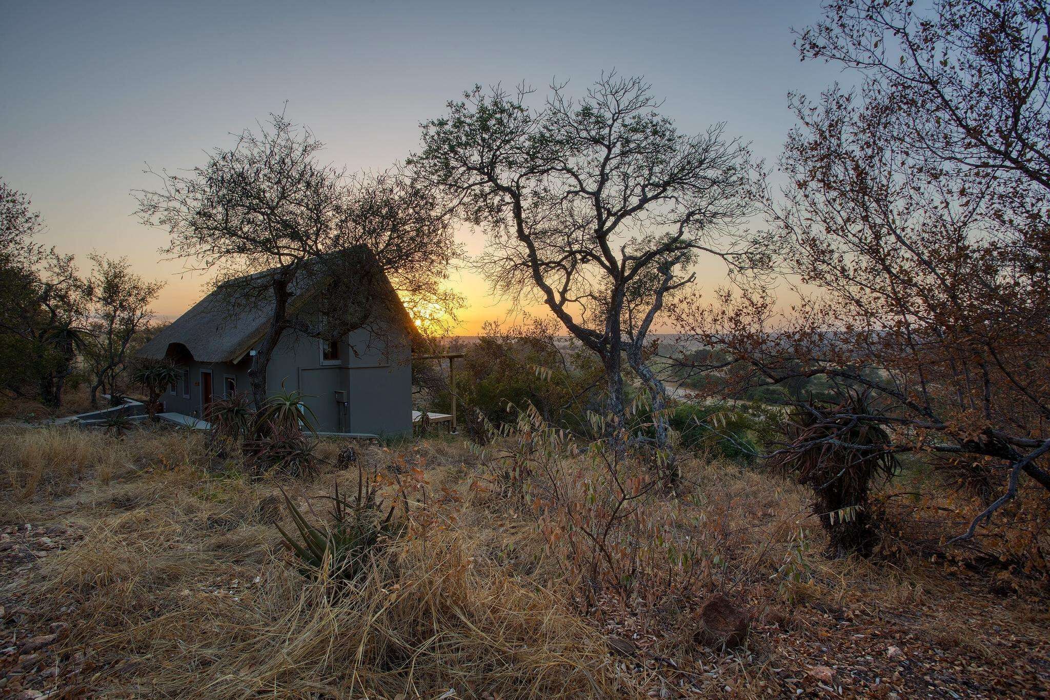 A rustic house with a thatched roof, surrounded by dry grass and sparse trees, during sunset.