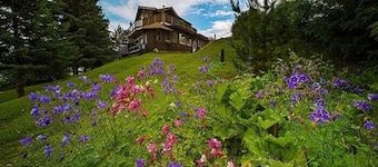Eagle's Nest Resort