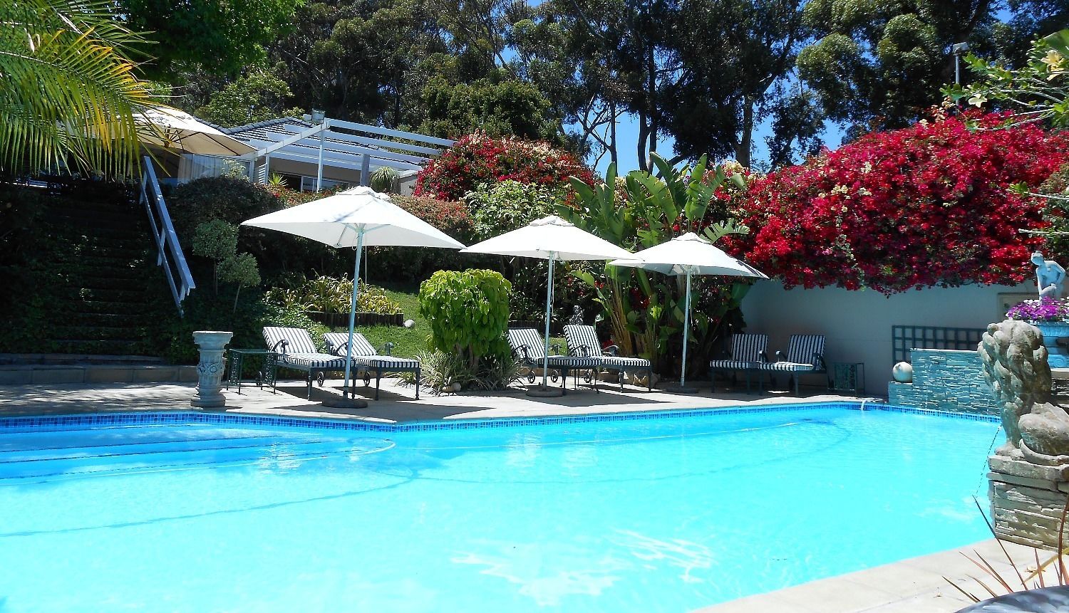 A swimming pool with lounge chairs and umbrellas, surrounded by lush greenery and flowering plants.