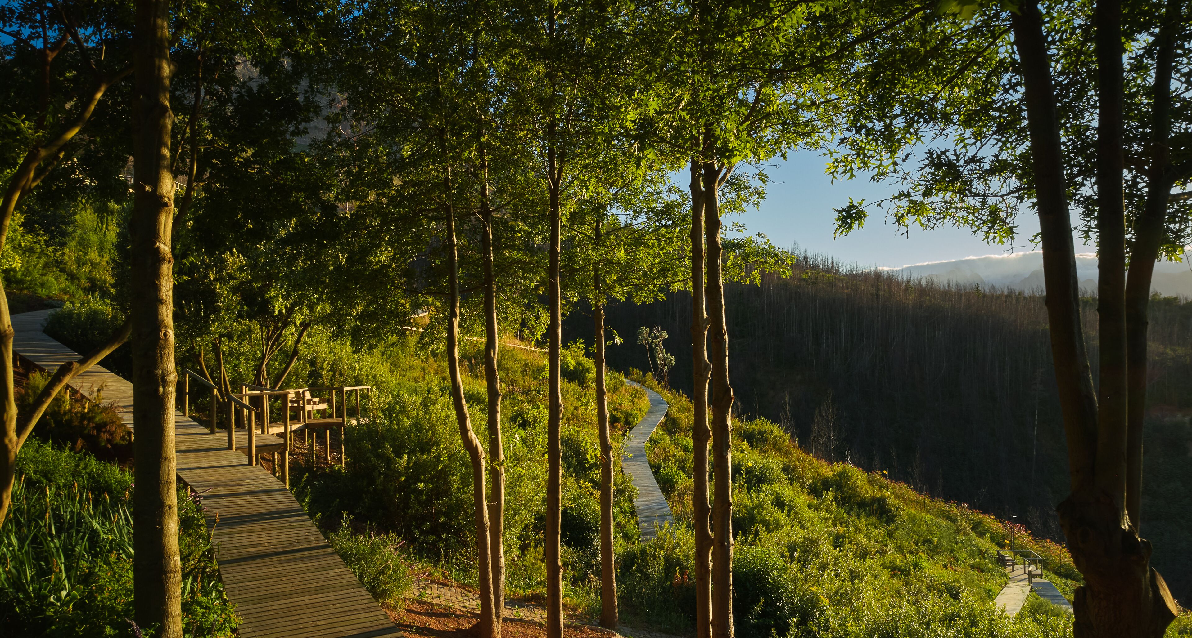 Photo - Spanish Farm Boutique Hotel & Villas