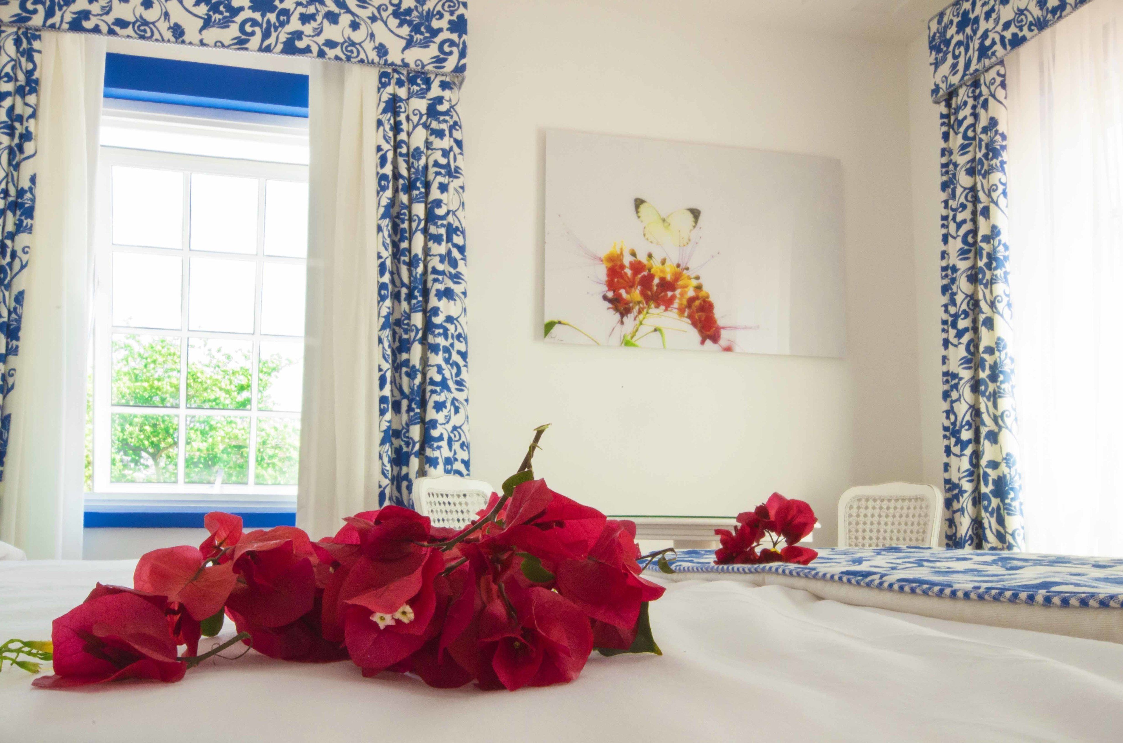 suite (solar) | view from room