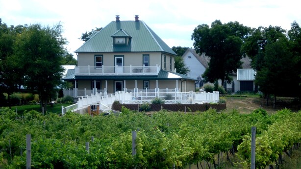 Exterior - Indian Creek Village Winery (Ringwood)