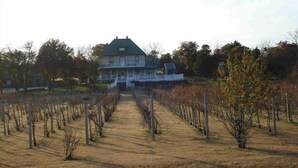 Exterior - Indian Creek Village Winery (Ringwood)