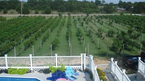 Garden - Indian Creek Village Winery (Ringwood)