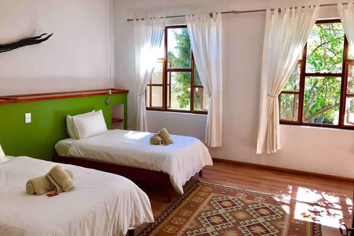 A room with two beds, a green accent wall, a patterned rug, and large windows with curtains.
