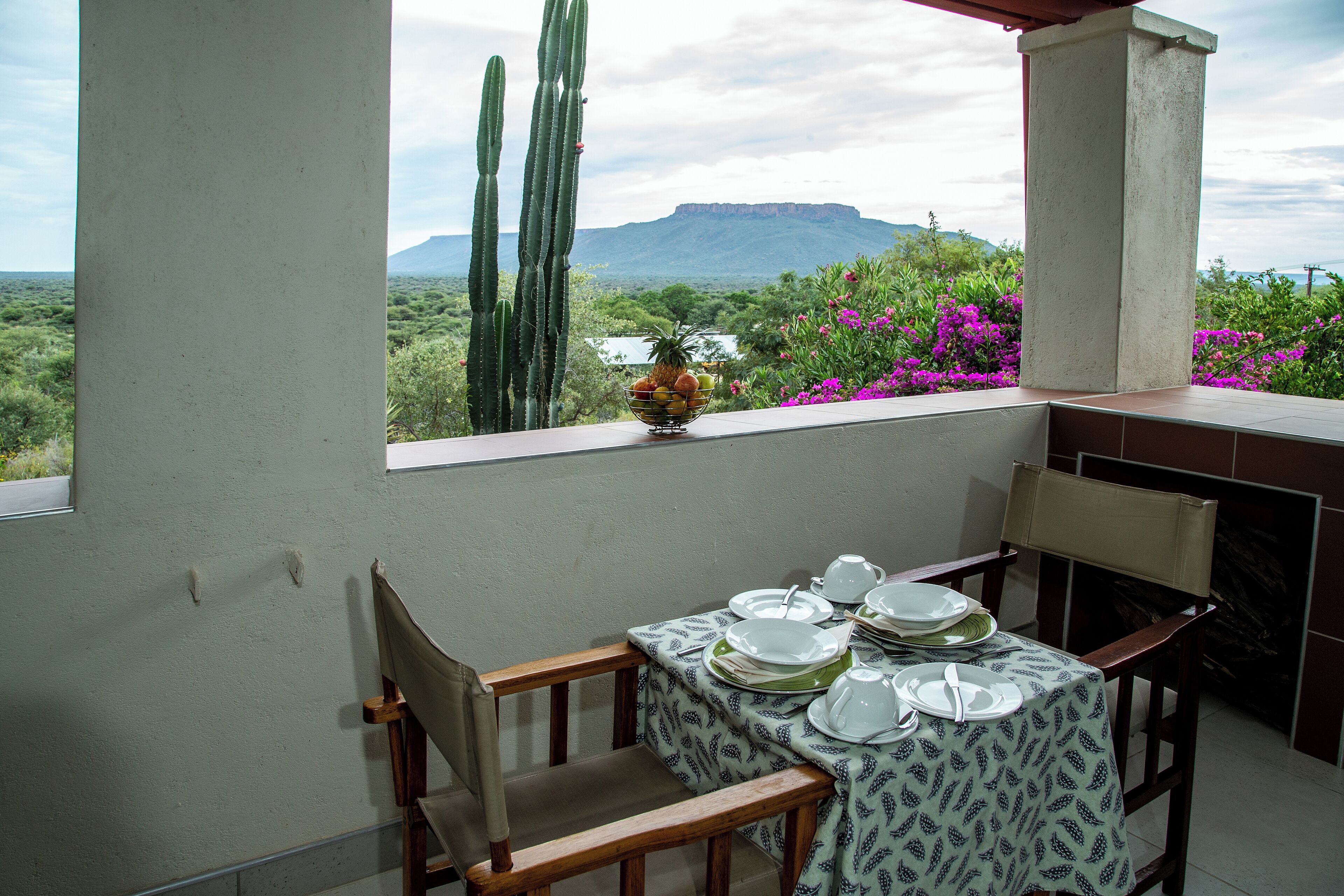 Terraza o patio